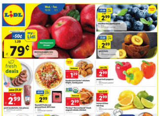 Lidl Weekly Ad Oct 26 – Nov 01, 2022 (Halloween Promotion Included)