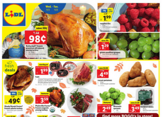 Lidl Weekly Ad Nov 02 – Nov 08, 2022