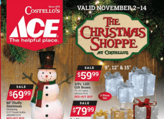 ACE Weekly Ad Nov 02 – Nov 14, 2022 (Christmas Sale Included)