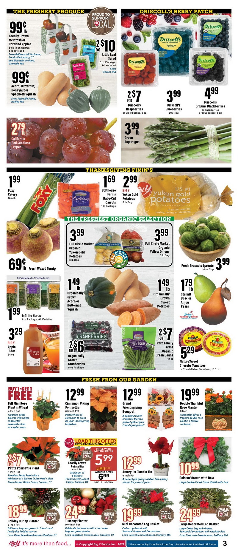 Big Y Weekly Ad Nov 17 Nov 23, 2022 (Thanksgiving Promotion Included)