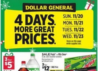 Dollar General Weekly Ad Nov 20 – Nov 26, 2022 (Thanksgiving Promotion Included)