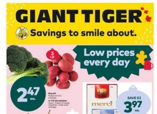 Giant Tiger Weekly Ad Nov 30 – Dec 06, 2022