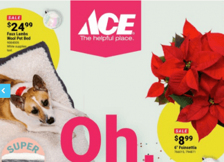 ACE Hardware Holiday Gift Guide Dec 01 – Dec 18, 2022