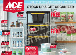 ACE Hardware Monthly Ad Dec 26, 2022 – Jan 31, 2023