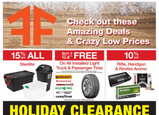 Fleet Farm Weekly Ad Dec 25 – Dec 31, 2022