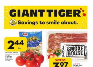 Giant Tiger Weekly Ad Dec 28 – Jan 03, 2023