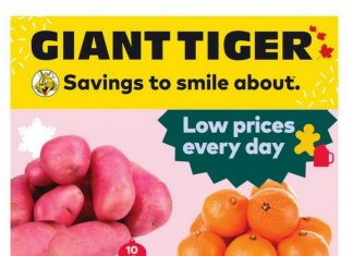 Giant Tiger Weekly Ad Dec 07 – Dec 13, 2022