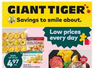 Giant Tiger Weekly Ad Dec 21 – Dec 27, 2022