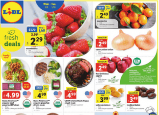 Lidl Weekly Ad Jan 04 – Jan 10, 2023