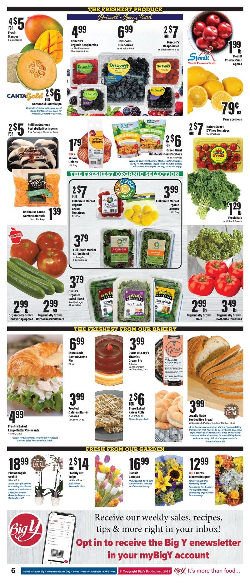 Big Y Weekly Ad Jan 05 Jan 11, 2023