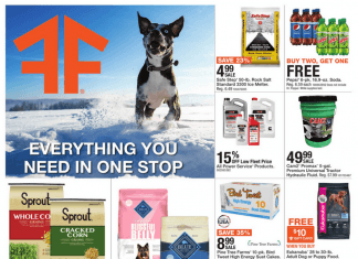Fleet Farm Weekly Ad Jan 13 – Jan 21, 2023
