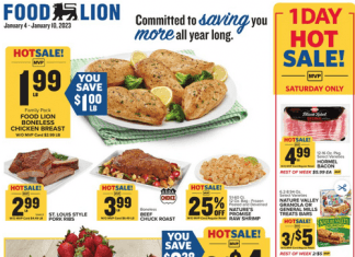 Food Lion Weekly Ad Jan 04 – Jan 10, 2023