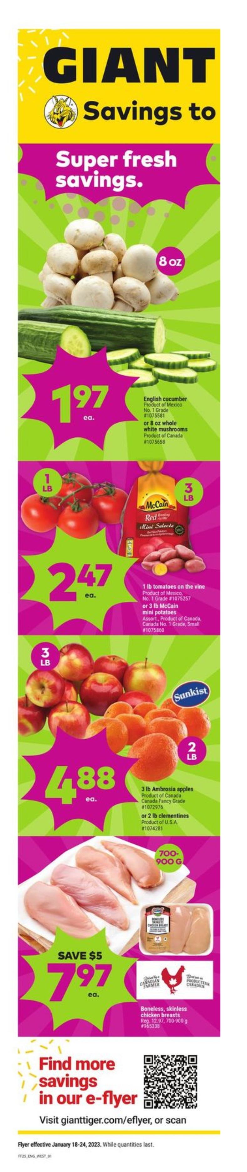 Giant Tiger Weekly Ad Jan 18 Jan 24, 2023