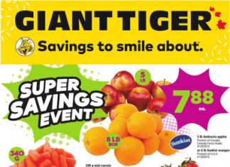 Giant Tiger Weekly Ad Jan 25 – Jan 31, 2023