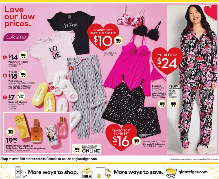 Giant Tiger Weekly Ad Jan 25 Jan 31, 2023