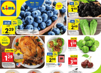 Lidl Weekly Ad Jan 25 – Jan 31, 2023