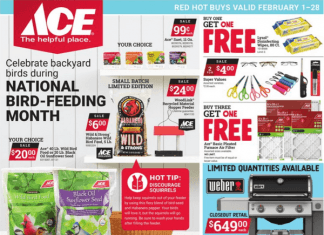 Ace Hardware Red Hot Buys Ad Feb 01 – Feb 28, 2023