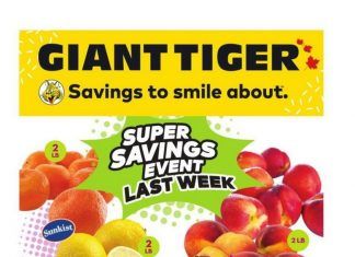 Giant Tiger Weekly Ad Feb 01 – Feb 07, 2023