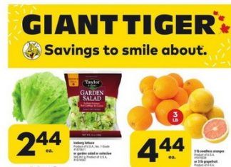 Giant Tiger Weekly Ad Feb 15 – Feb 21, 2023