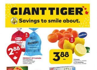Giant Tiger Weekly Ad Feb 22 – Feb 28, 2023