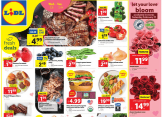 Lidl Weekly Ad Dec 08 – Dec 14, 2022