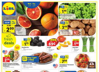 Lidl Weekly Ad Feb 15 – Feb 21, 2023