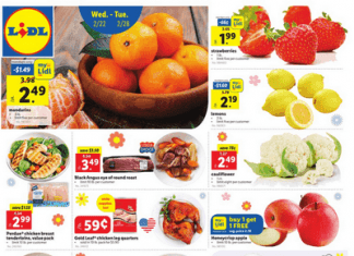 Lidl Weekly Ad Feb 22 – Feb 28, 2023