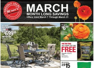 ACE Hardware Month Long Saving Ad Mar 01 – Mar 31, 2023