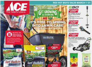 ACE Hardware Red Hot Buys Monthly Ad Mar 01 – Mar 31, 2023