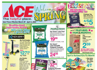 ACE Hardware Weekly Ad Mar 28 – Apr 03, 2023