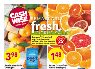 Cash Wise Weekly Ad Mar 01 – Mar 07, 2023