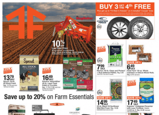 Fleet Farm Weekly Ad Mar 17 – Mar 25, 2023