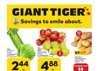 Giant Tiger Weekly Ad Mar 01 – Mar 07, 2023