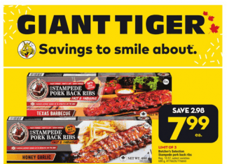 Giant Tiger Weekly Ad Mar 15 – Mar 21, 2023