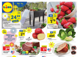 Lidl Weekly Ad Mar 15 – Mar 21, 2023 (Easter Promotion Included)
