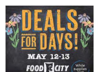 Food City Weekly Ad May 10 – May 16, 2023 (Mother’s Day Promotion Included)