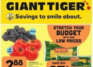 Giant Tiger Weekly Ad May 31 – Jun 06, 2023