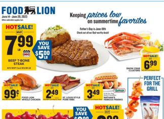 Food Lion Weekly Ad Jun 15 – Jun 21, 2023