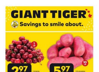 Giant Tiger Weekly Ad Jul 19 – Jul 25, 2023
