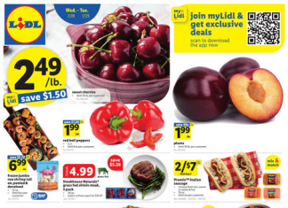 Lidl Weekly Ad Jul 19 – Jul 25, 2023