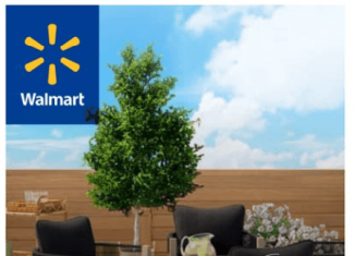 Walmart Weekly Ad July 19 – July 26, 2023