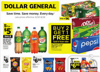 Dollar General Weekly Ad Aug 20 – Aug 26, 2023
