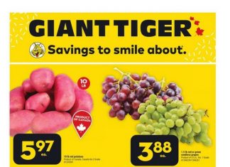 Giant Tiger Weekly Ad Aug 23 – Aug 29, 2023