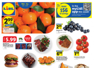Lidl Weekly Ad Aug 09 – Aug 15, 2023
