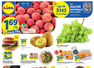 Lidl Weekly Ad Aug 16 – Aug 22, 2023
