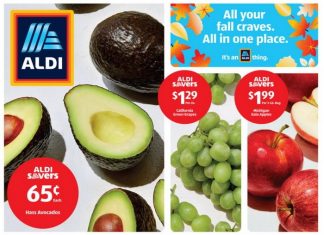 ALDI Weekly Ad Sep 13 – Sep 19, 2023 (Halloween Promotion Included)