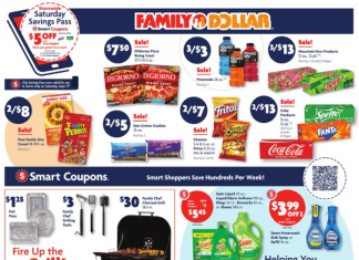 Family Dollar Weekly Ad Sep 05 – Sep 09, 2023 (Halloween Promotion Included)