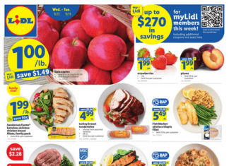 Lidl Weekly Ad Sep 13 – Sep 19, 2023 (Halloween Promotion Included)