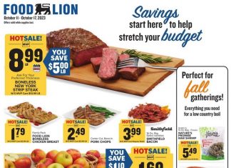 Food Lion Weekly Ad Oct 11 – Oct 17, 2023 (Halloween Promotion Included)