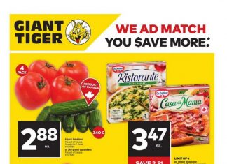 Giant Tiger Weekly Ad Oct 25 – Oct 31, 2023